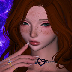 aurelia aurelia